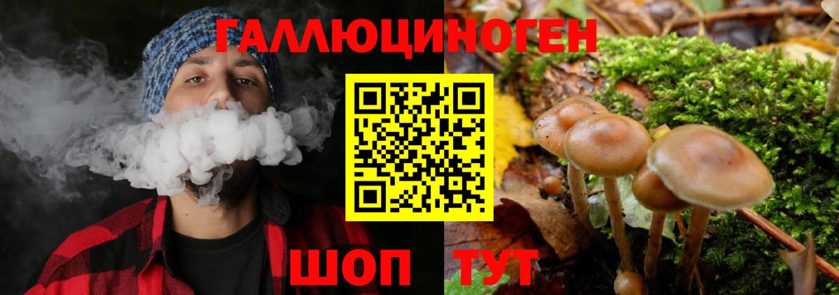 Орёл  Галлюциногенные грибы прущие грибы  Псилоцибиновые грибы MAGIC MUSHROOMS  Вход с VPN 